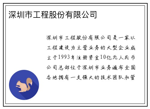 深圳市工程股份有限公司